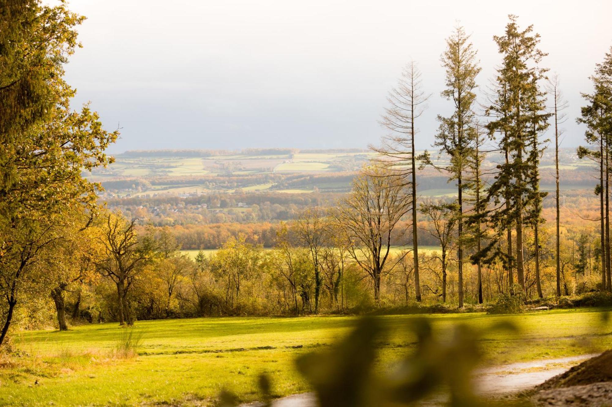 Hébergement de vacances De Brohimont - - Exclusive Of Silence